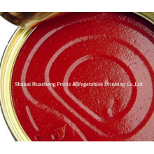 3000g 22%-24% Canned Tomato Paste